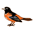 The Baltimore Orioles Lifelike Bird logo (1998-2008)